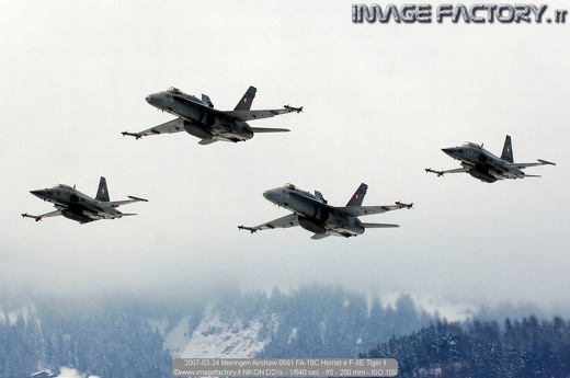2007-03-24 Meiringen Airshow 0691 FA-18C Hornet e F-5E Tiger II